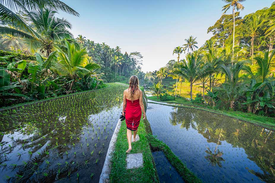 Bali Tegalalang Rice Terrace